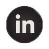 logo linkedin